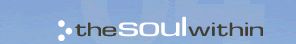 PROFESSIONAL QUALITY WEBSITE DESIGN. theSOULwithin,Inc. is a website design company located in Chicago,Il.